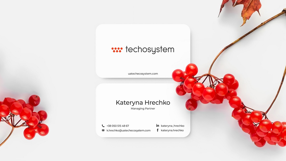 techosystem image #1
