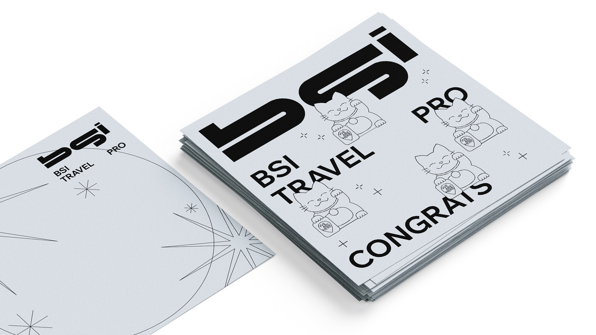 BSI TRAVEL PRO image #2
